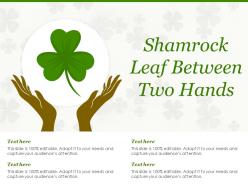 Shamrock leaf between two hands