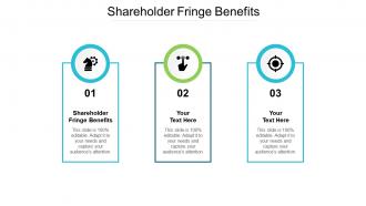 Shareholder fringe benefits ppt powerpoint presentation show portrait cpb