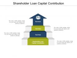 Shareholder loan capital contribution ppt powerpoint show example cpb
