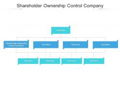 Shareholder ownership control company ppt powerpoint presentation inspiration designs download cpb