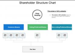 Shareholder structure chart