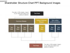 Shareholder structure chart ppt background images