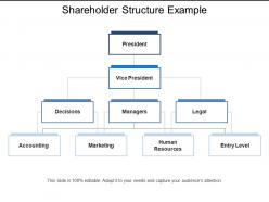 Shareholder structure example