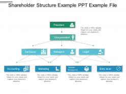 Shareholder structure example ppt example file