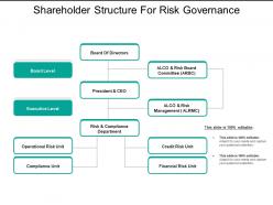 Shareholder structure for risk governance
