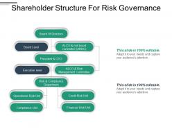 Shareholder structure for risk governance ppt infographic template