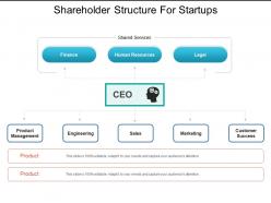 Shareholder structure for startups