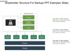 Shareholder structure for startups ppt examples slides