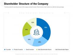 Shareholder structure of the company m3332 ppt powerpoint presentation portfolio