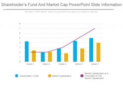 Shareholders fund and market cap powerpoint slide information