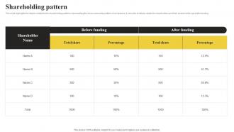 Shareholding Pattern International Tech Company Fundraising Pitch Deck