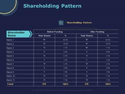 Shareholding pattern ppt powerpoint presentation infographic template