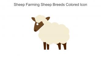 Sheep Farming Sheep Breeds Colored Icon In Powerpoint Pptx Png And Editable Eps Format
