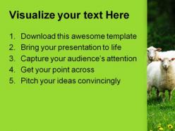 Sheep in dandelion field animals powerpoint templates and powerpoint backgrounds 0211