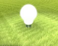 Shiny White Light Bulb On Green Grass Stock Photo