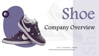 Shoe Company Overview Powerpoint Ppt Template Bundles BP MM