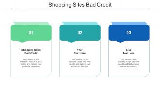 Shopping Sites Bad Credit Ppt Powerpoint Presentation Summary Slide Portrait Cpb
