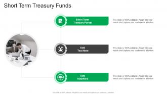 Short Term Treasury Funds In Powerpoint And Google Slides Cpb