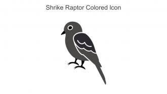 Shrike Raptor Colored Icon In Powerpoint Pptx Png And Editable Eps Format