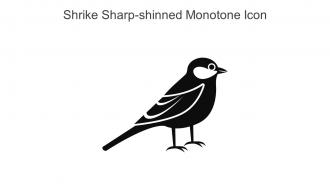 Shrike Sharp Shinned Monotone Icon In Powerpoint Pptx Png And Editable Eps Format