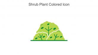 Shrub Plant Colored Icon In Powerpoint Pptx Png And Editable Eps Format