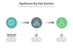 Significance big data business ppt powerpoint presentation professional slideshow cpb