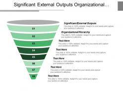 Significant external outputs organizational hierarchy capital access professional management