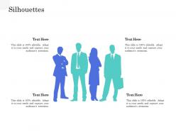 Silhouettes application interface management market ppt file ideas