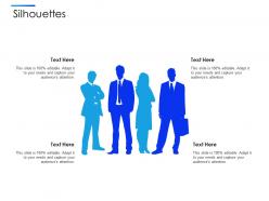 Silhouettes equity secondaries pitch deck ppt microsoft