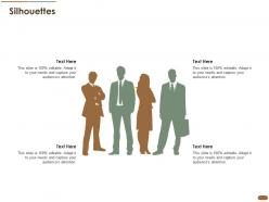 Silhouettes Pitch Deck Raise Post Ipo Debt Banking Institutions Ppt Professional Guide