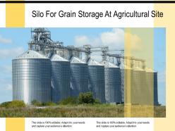 Silo for grain storage at agricultural site