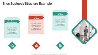 Silos Business Structure Example In Powerpoint And Google Slides Cpb