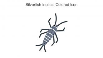 Silverfish Insects Colored Icon In Powerpoint Pptx Png And Editable Eps Format