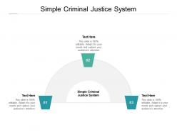 Simple criminal justice system ppt powerpoint presentation outline portfolio cpb