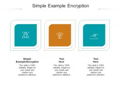 Simple example encryption ppt powerpoint presentation icon examples cpb