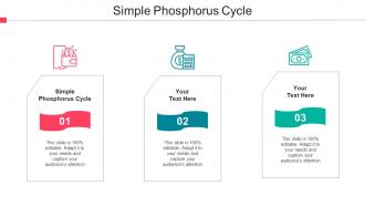 Simple Phosphorus Cycle Ppt Powerpoint Presentation Outline Visual Aids Cpb
