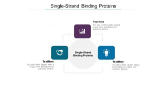 Single-strand binding proteins ppt powerpoint presentation file demonstration cpb