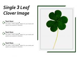 Single 3 leaf clover image
