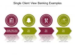 Single client view banking examples ppt powerpoint presentation portfolio shapes cpb