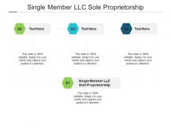 Single member llc sole proprietorship ppt powerpoint presentation portfolio graphics example cpb