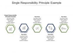 Single responsibility principle example ppt powerpoint presentation styles influencers cpb