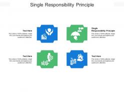 Single responsibility principle ppt powerpoint presentation file format cpb