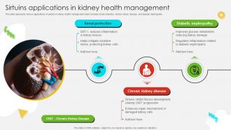 Sirtuins Applications In Kidney Health Management Ppt Presentation