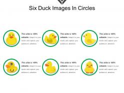 Six duck images in circles