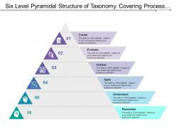 Six level pyramidal structure of taxonomy covering process flow