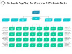 Six levels org chart for consumer and wholesale banks