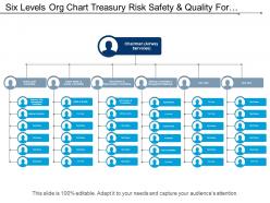 Six levels org chart treasury risk safety and quality for airlines