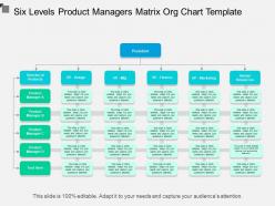 Six levels product managers matrix org chart template