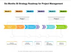 Six Months Bi Strategy Roadmap For Project Management