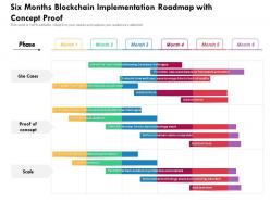 Six months blockchain implementation roadmap with concept proof